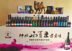 2017年西夏王新品发布暨经销商订货会圆满落幕