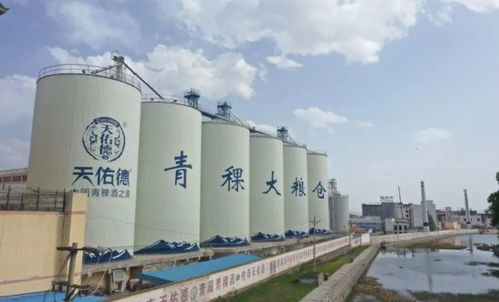 营收增20 天佑德酒2023业绩披露