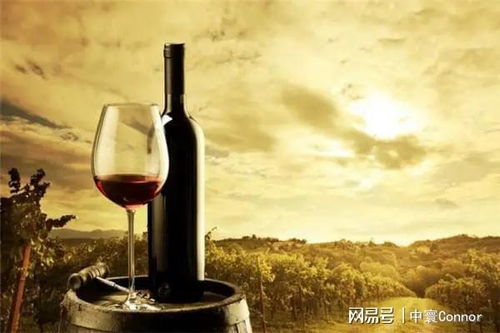 葡萄酒进口小知识