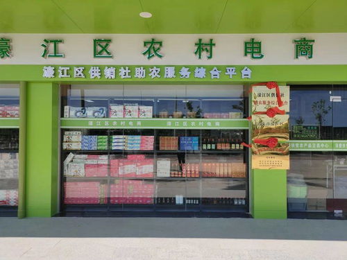 电商消费如何扶贫 珠海大学生团队暑期下乡调研助力