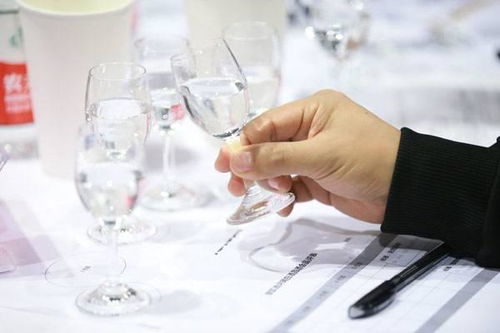 智达方通全面预算解决方案 推进酒业信息化管理