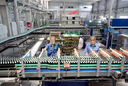 平原造青岛啤酒年产40万千升即将投入市场，烟草制品零售行业添新活力